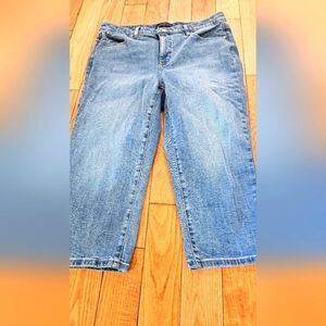 Talbots Simply Flattering Blue Jeans Size 12